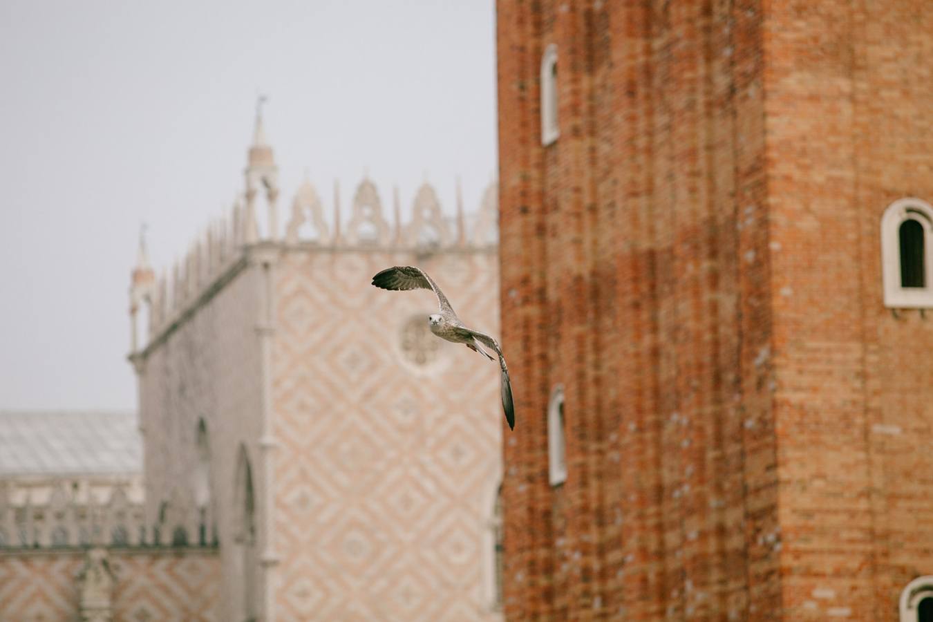 venice-italy-wedding-photographer-photos