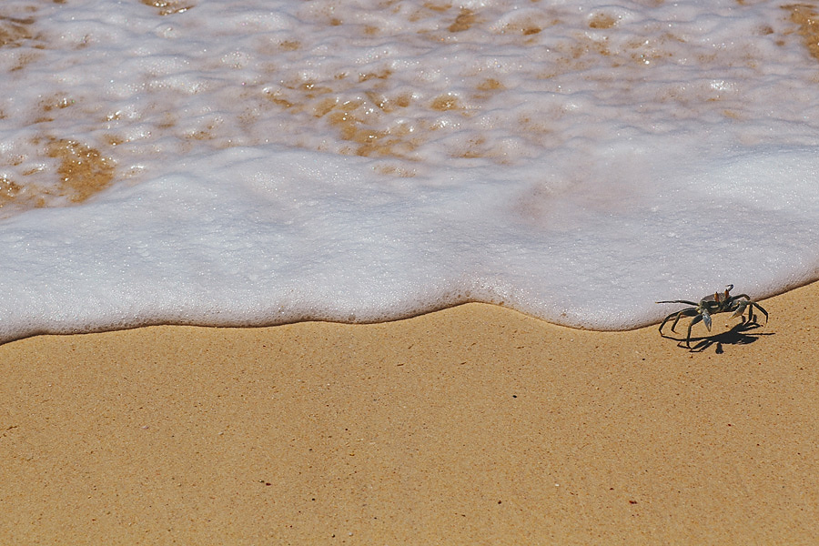 seycheles-north-island-wedding-photographer-photos